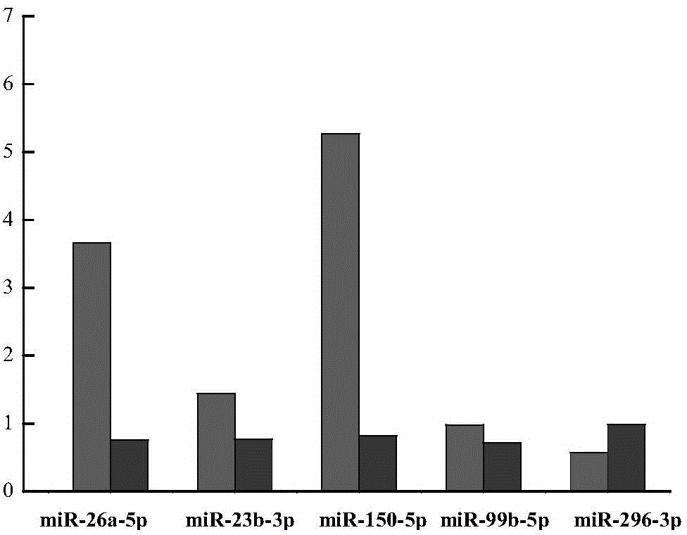 Micro ribonucleic acid (miRNA) marker group related to acute myelogenous leukemia, and specific primer and application of marker group