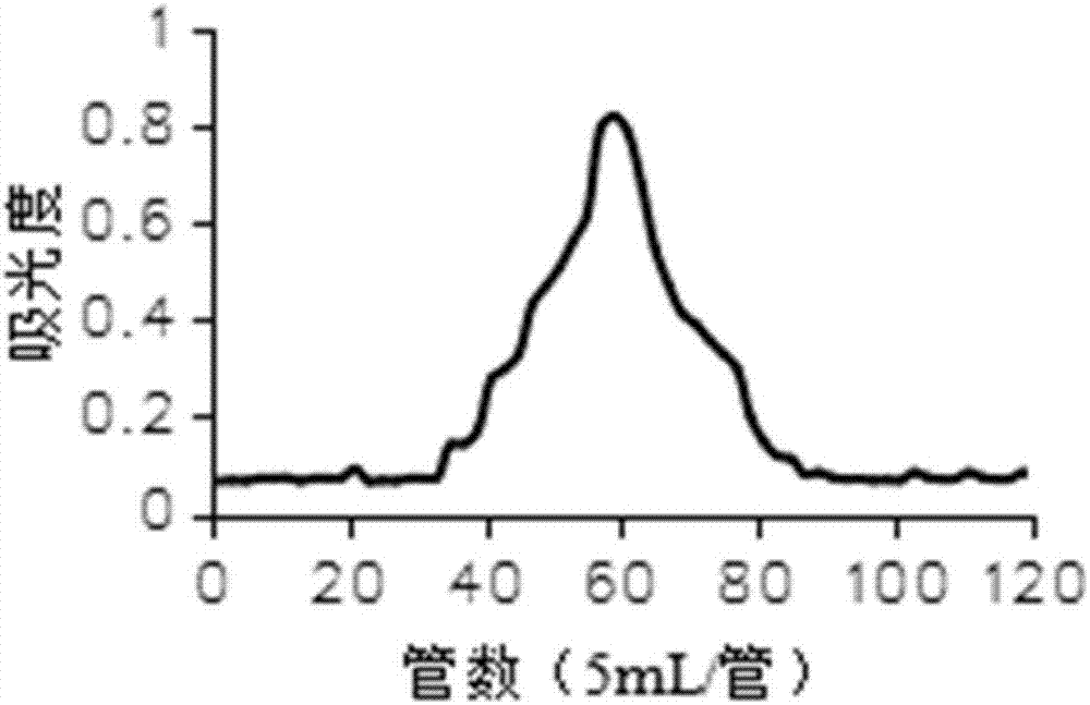 Enzyme process extracted Radix angelicae anomalae polysaccharide, and preparation method and application thereof