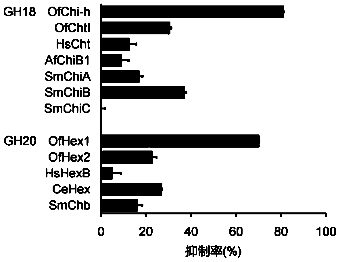 A kind of inhibitor and its application in inhibiting chitinase and hexosaminidase activity