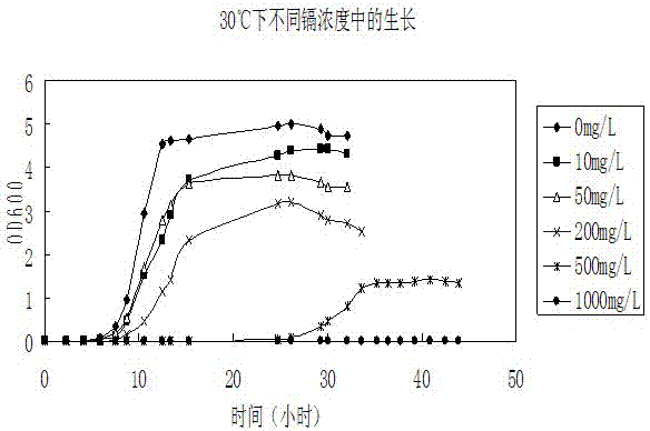 A kind of pseudomonas and its use and method for removing cadmium pollution in environment