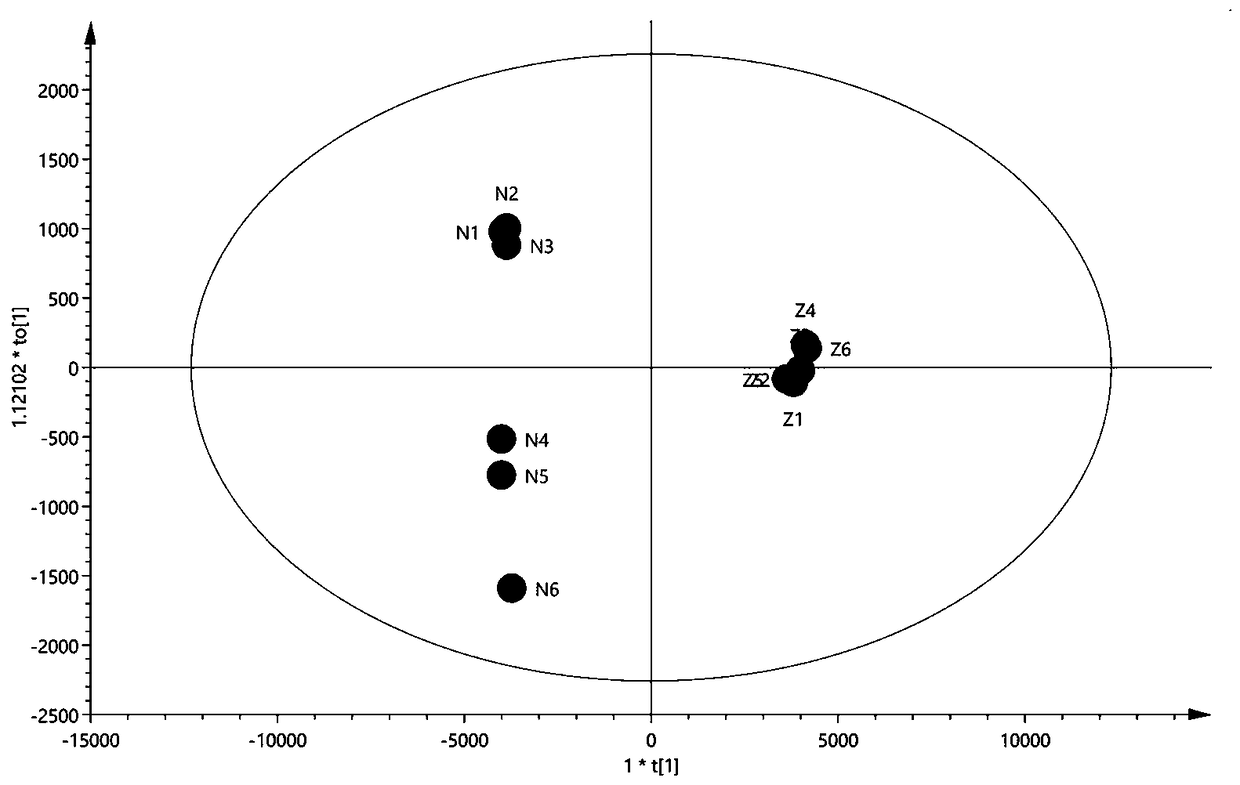 Bos taurus domesticus gmelin ICP-MS identification method and application