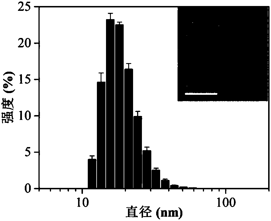 Photodynamics therapy complex as well as preparation method and application thereof