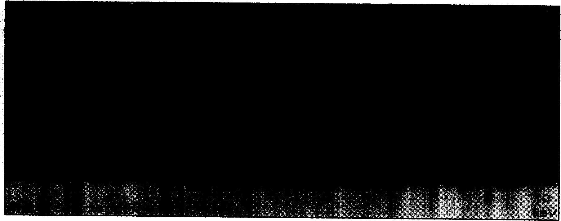 Super-high density information storage material antimony potassium sulfide and synthesis method thereof