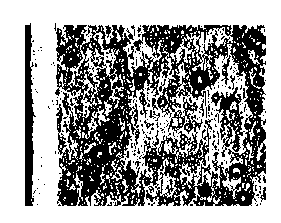 Low-temperature nitriding method for forming corrosion-resistant hardened layer on surface of stainless steel