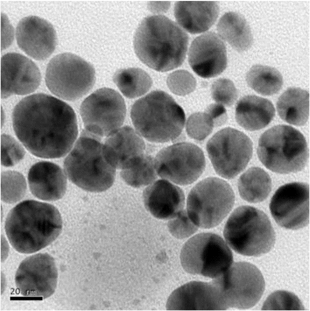 A surface antibacterial composite coating for a titanium metal and a preparing method thereof