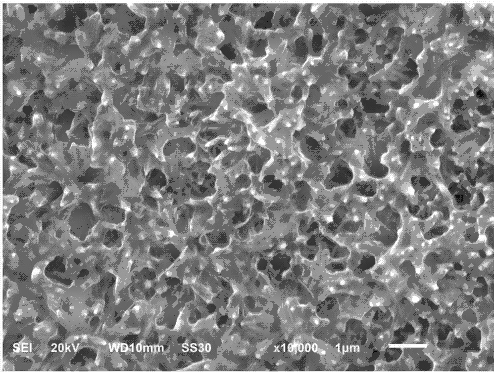 A surface antibacterial composite coating for a titanium metal and a preparing method thereof