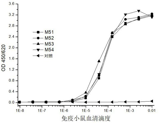 Antibody or antigen binding fragment thereof for novel coronavirus nucleocapsid protein and application of antibody or antigen binding fragment thereof