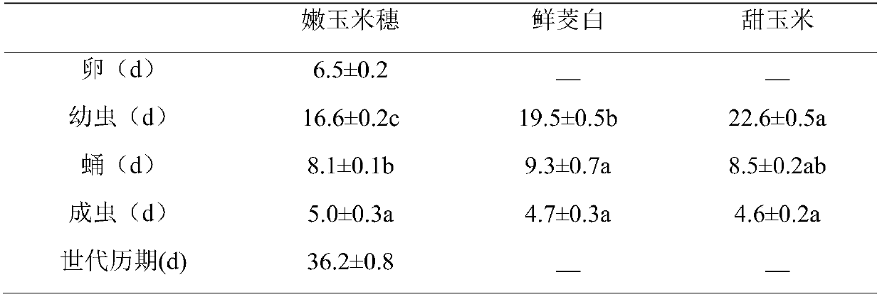 A kind of method of using tender ear of corn to feed the large borer