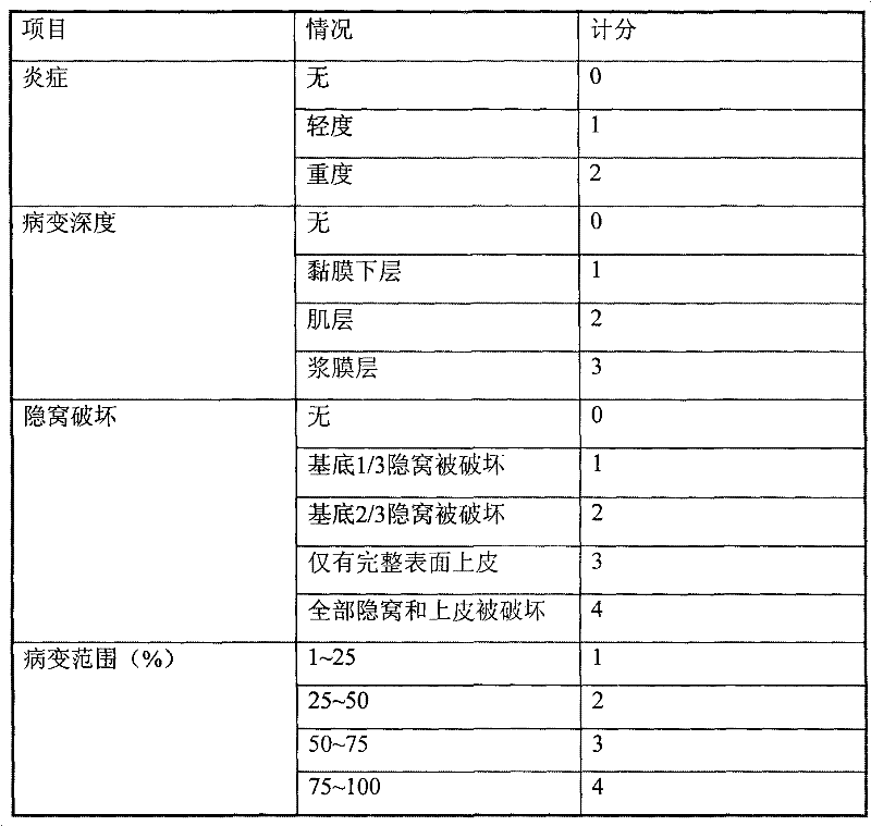 Thick-shell mussel fat-soluble extract, preparation method and application thereof