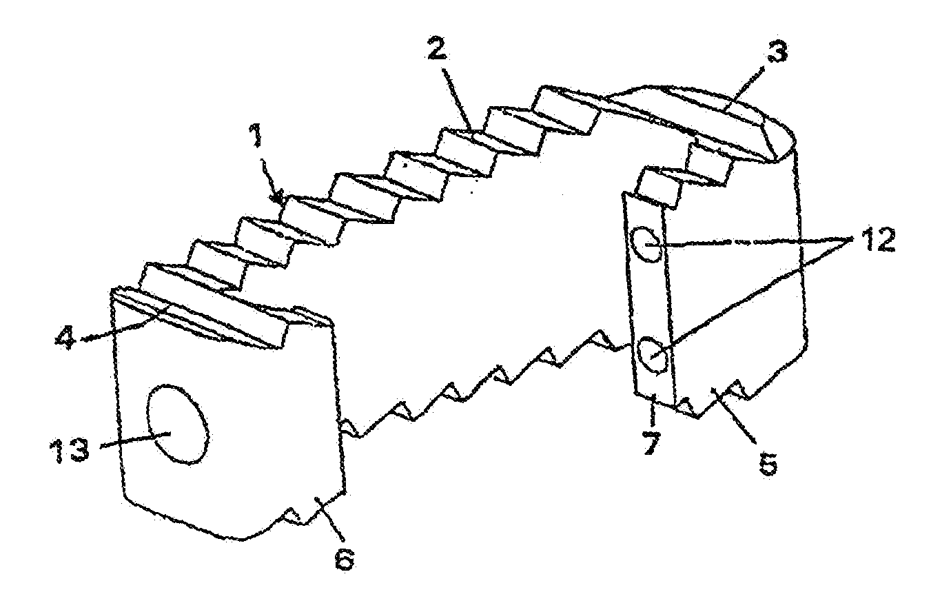 Intersomatic cage with unified grafts