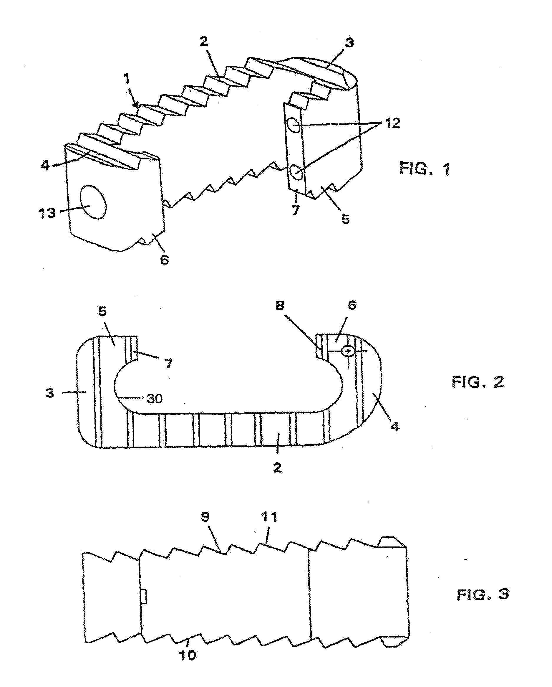 Intersomatic cage with unified grafts