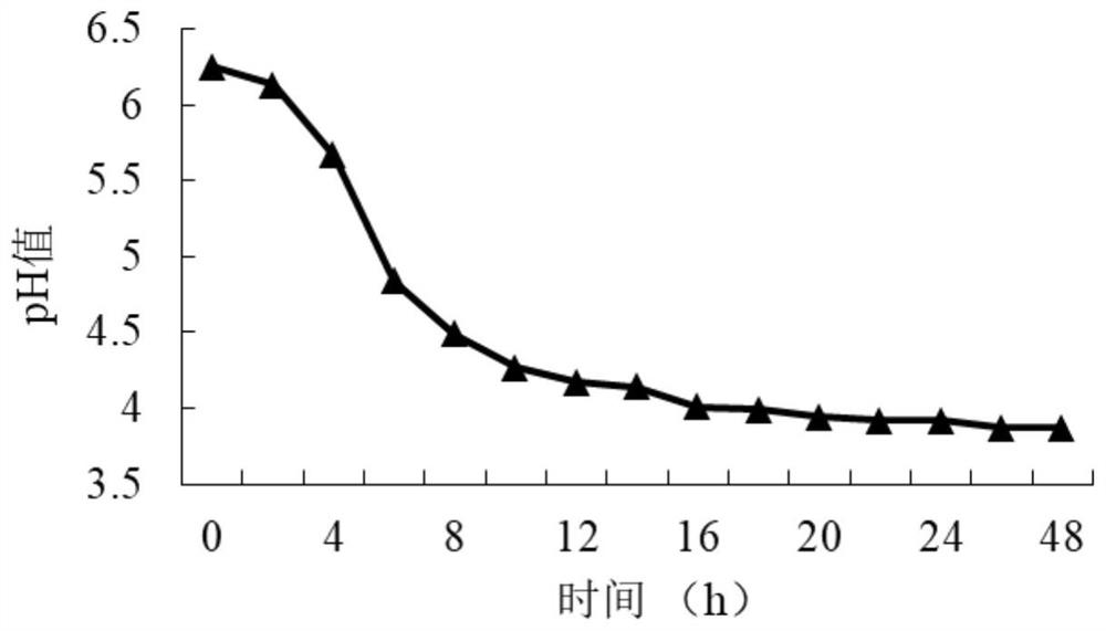 Bacteria-enzyme synergistically fermented feed containing stevia rebaudiana residues and application of feed