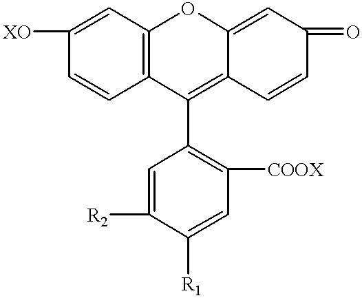 Method for detecting neuronal degeneration and anionic fluorescein homologue stains therefor