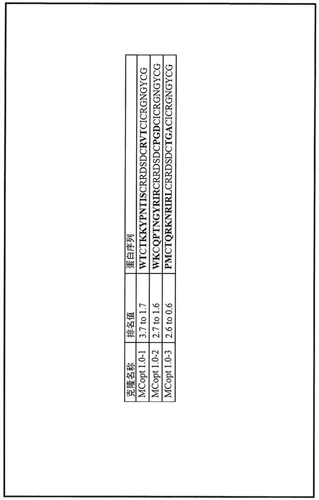 Compositions and methods for diagnosis and treatment of cancer