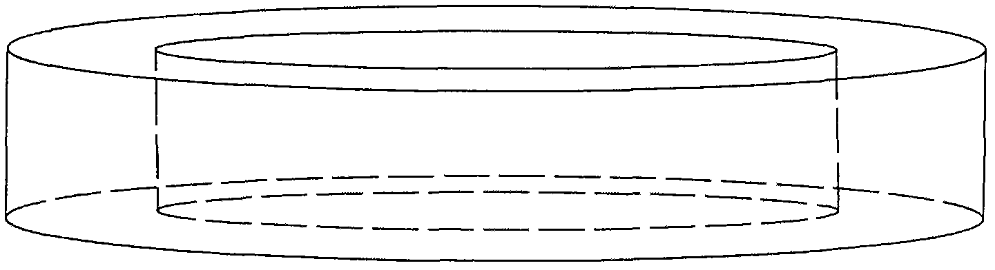 Method for preparing contact lens-shaped amniotic dressing