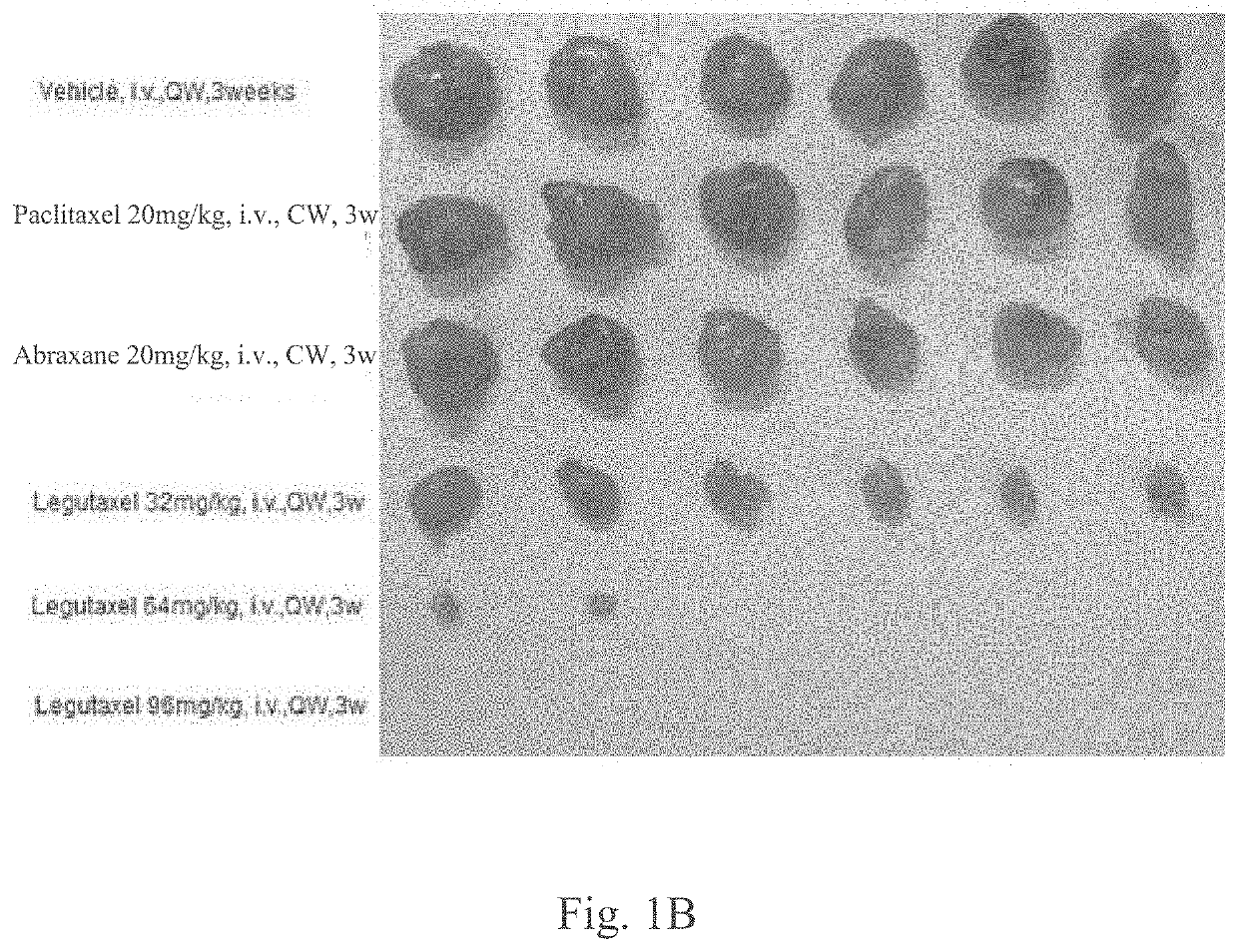 Small molecule conjugates specifically activated in tumor microenvironment for targeting and use thereof