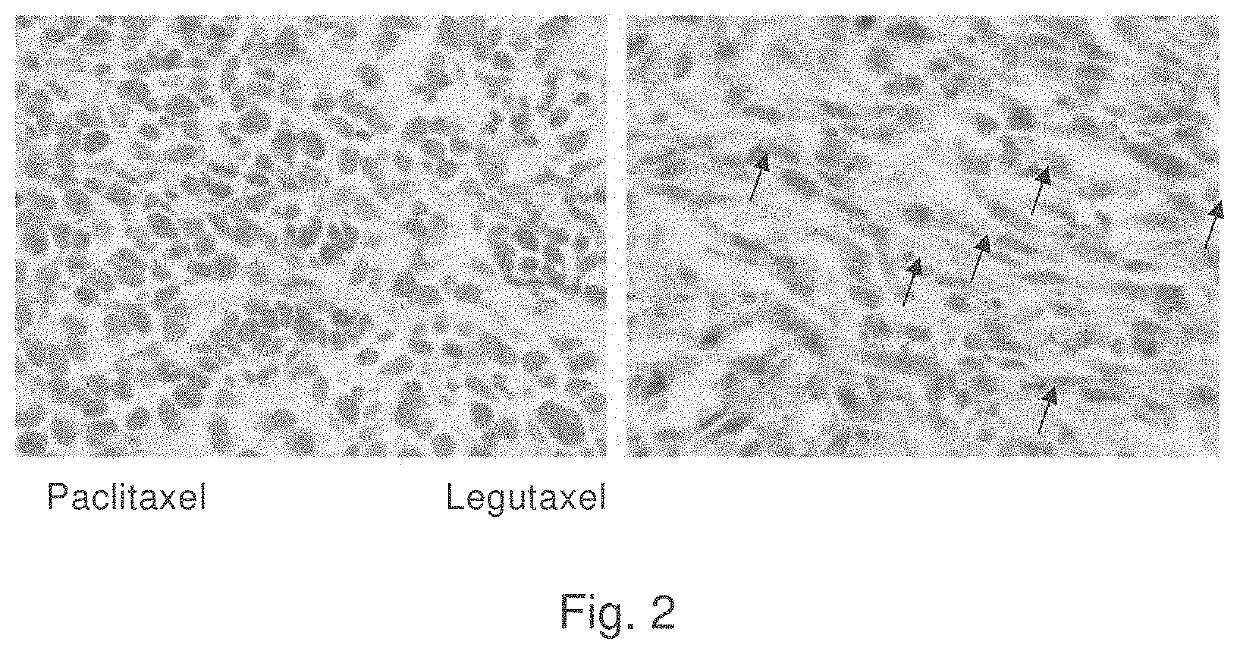 Small molecule conjugates specifically activated in tumor microenvironment for targeting and use thereof