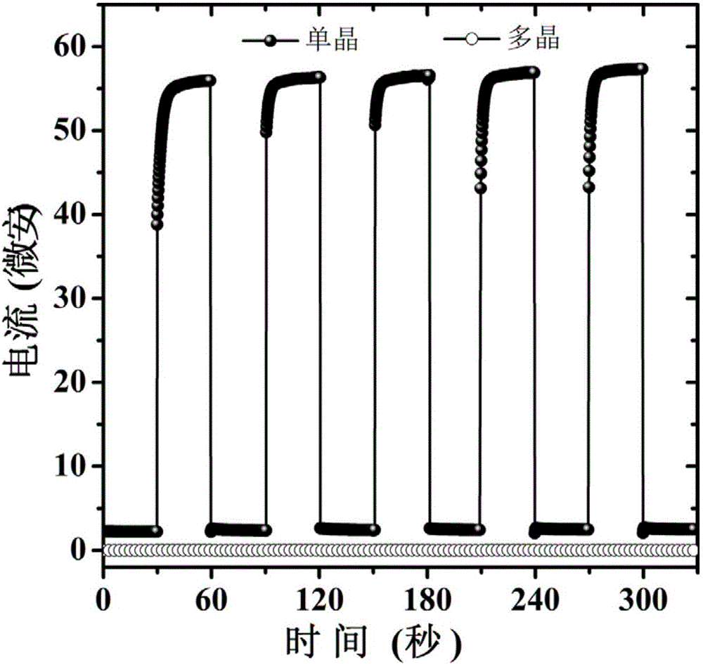 Efficient perovskite monocrystal light detector and preparation method thereof