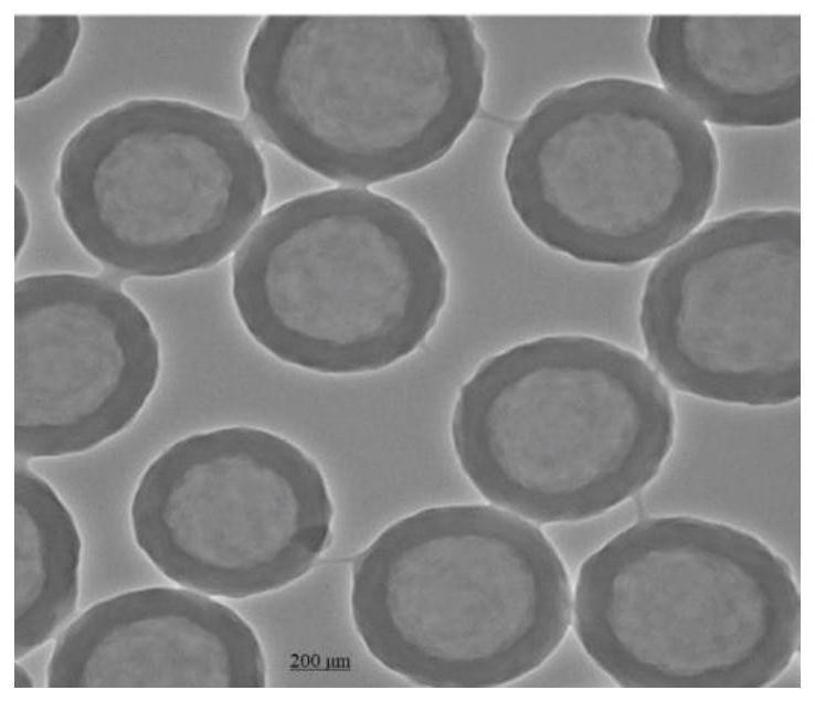 Method for preparing sucralose microcapsules