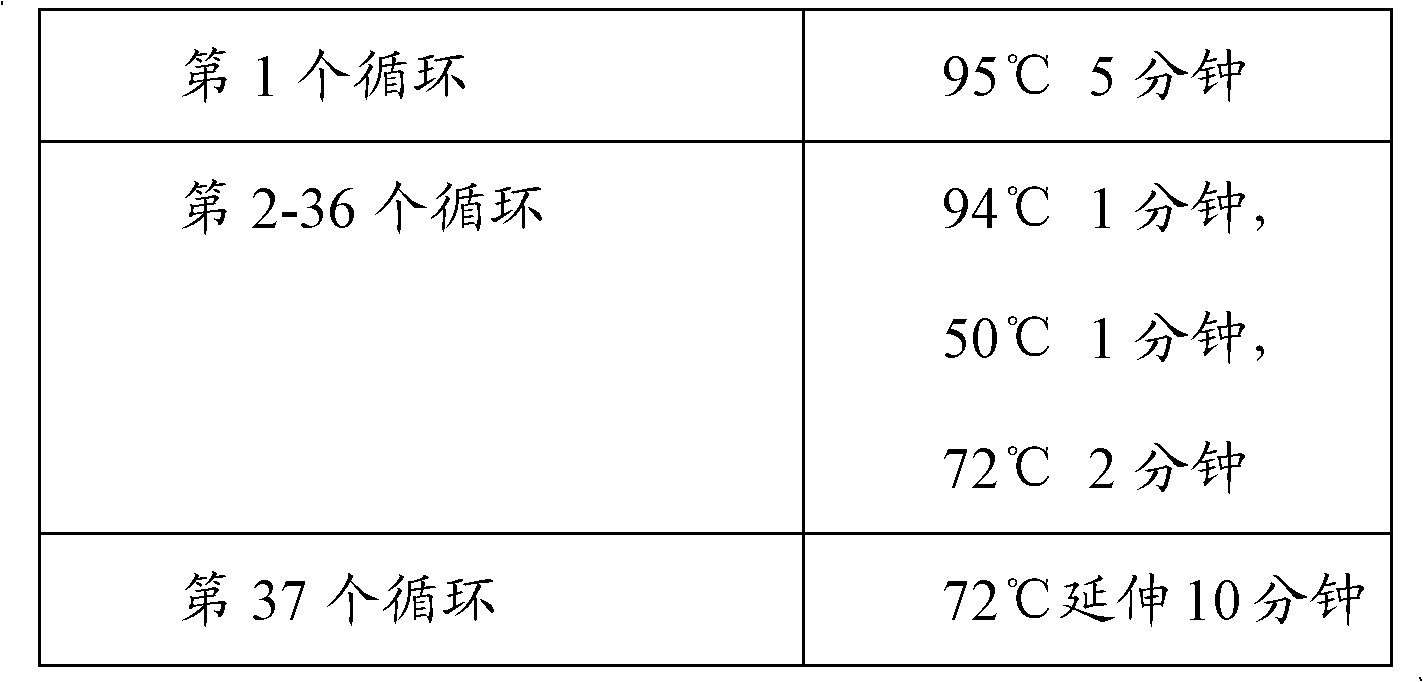 Biosensor and construction method of gene trapping system