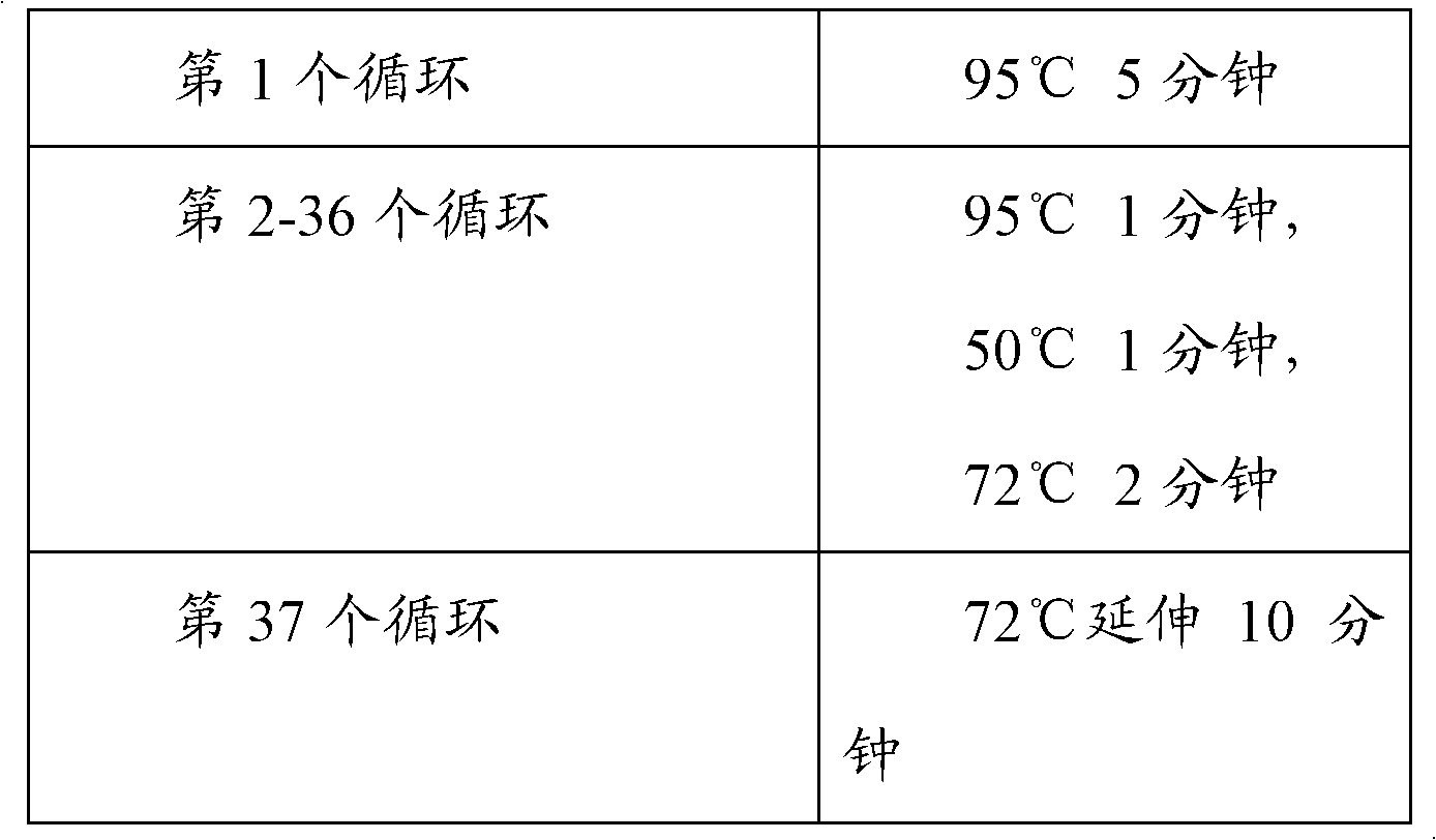 Biosensor and construction method of gene trapping system