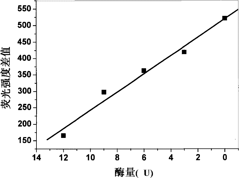 Method for detecting enzymatic activity by using quantum dot fluorescence