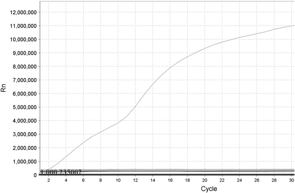 Nucleic acid for detecting Zika virus, real-time fluorescence RPA kit and method