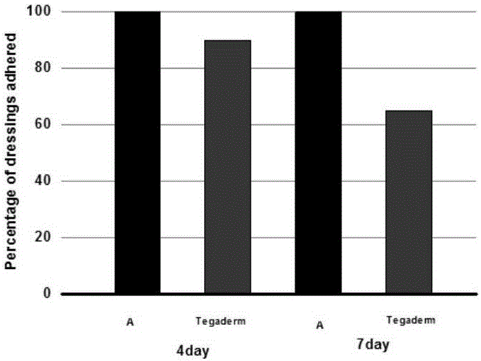 Antibacterial transparent dressing, preparing method of antibacterial transparent dressing and application of antibacterial transparent dressing