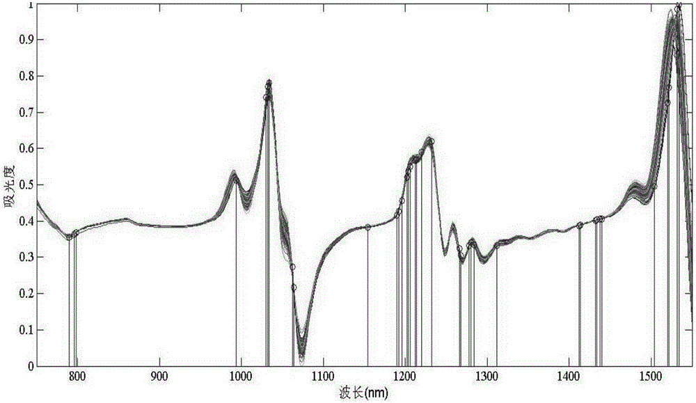 Near-infrared spectroscopy characteristic wavelength selection method for least squares support vector machine model