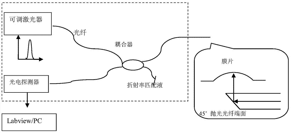 Optical fiber finger for detecting flexibility of prostate and detection method