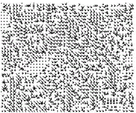 Computing method of video fluid height