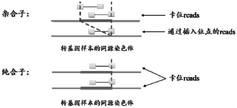 Method for identifying transgenic events through whole genome sequencing data