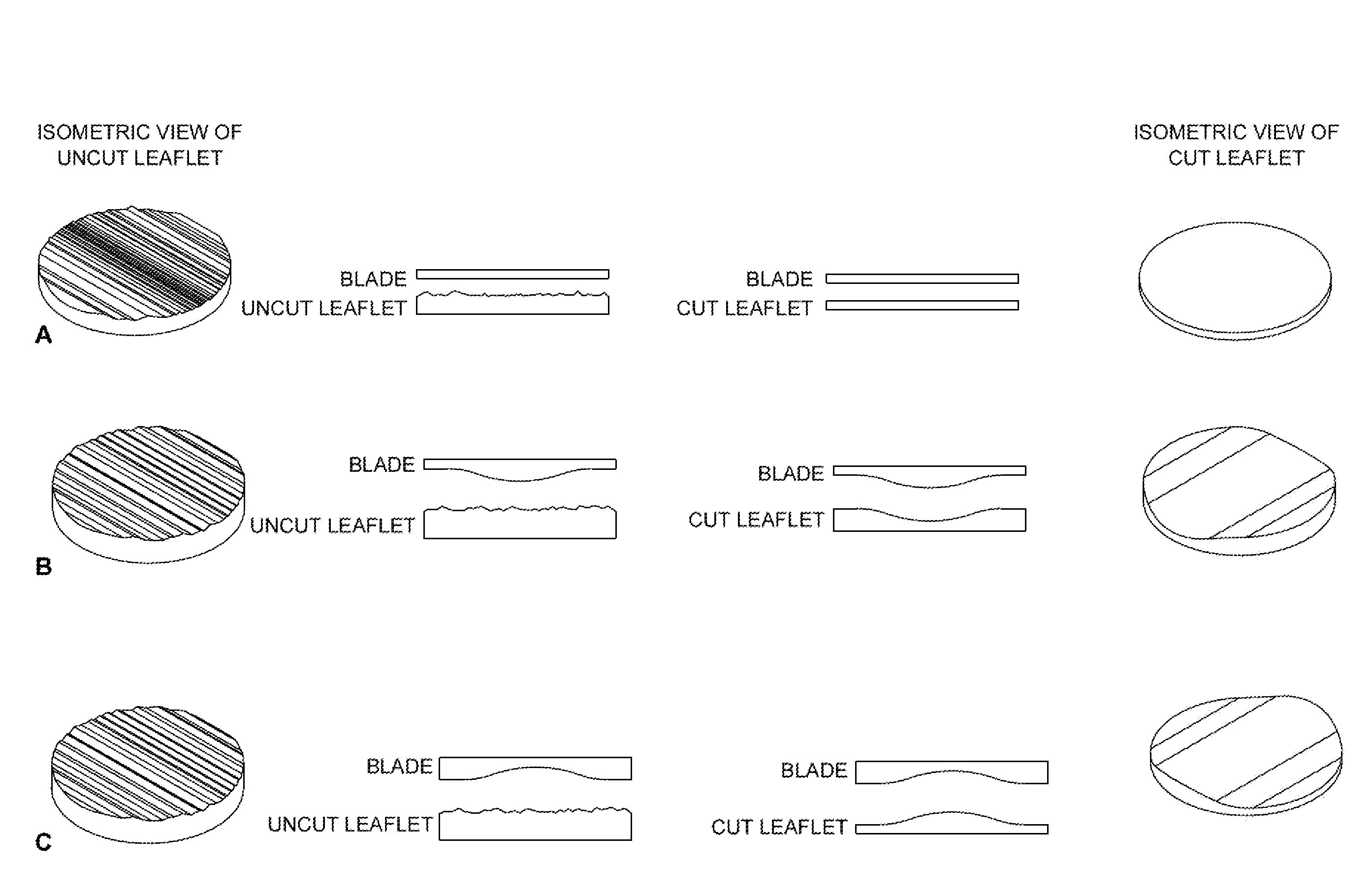 Method of preparing a tissue swatch for a bioprosthetic device