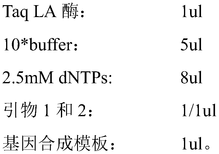 Fusion antigen for detecting echinococcosis, coding gene thereof, host cell and kit