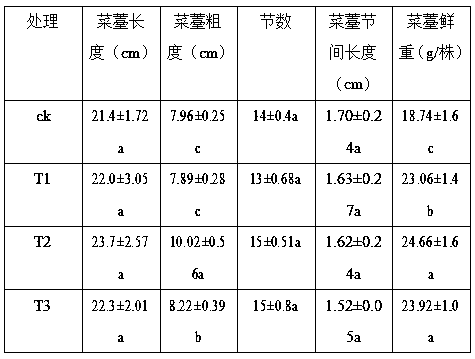 Water culture method for Chinese flowering cabbages