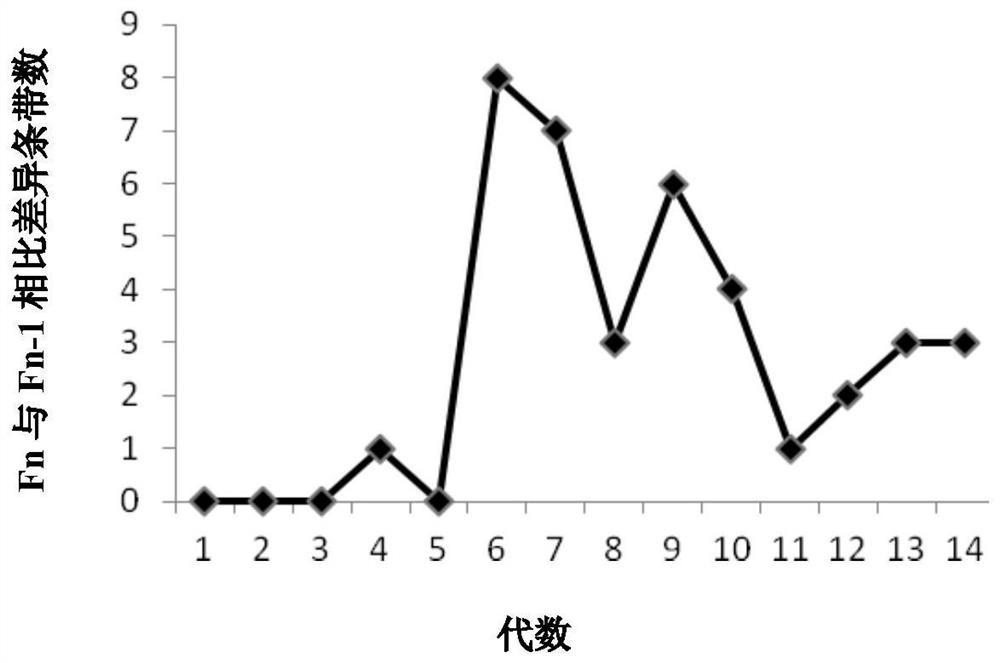 A kind of screening method and application of rapid growth mutants of microalgae