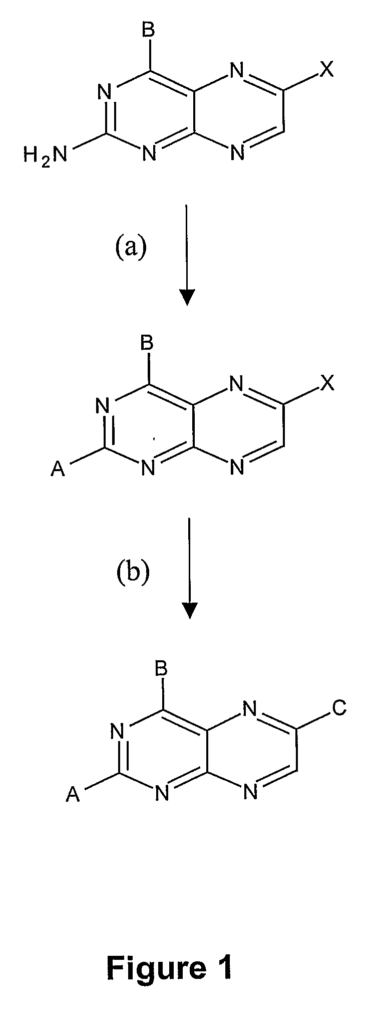 Substituted pteridines for the treatment and prevention of viral infections