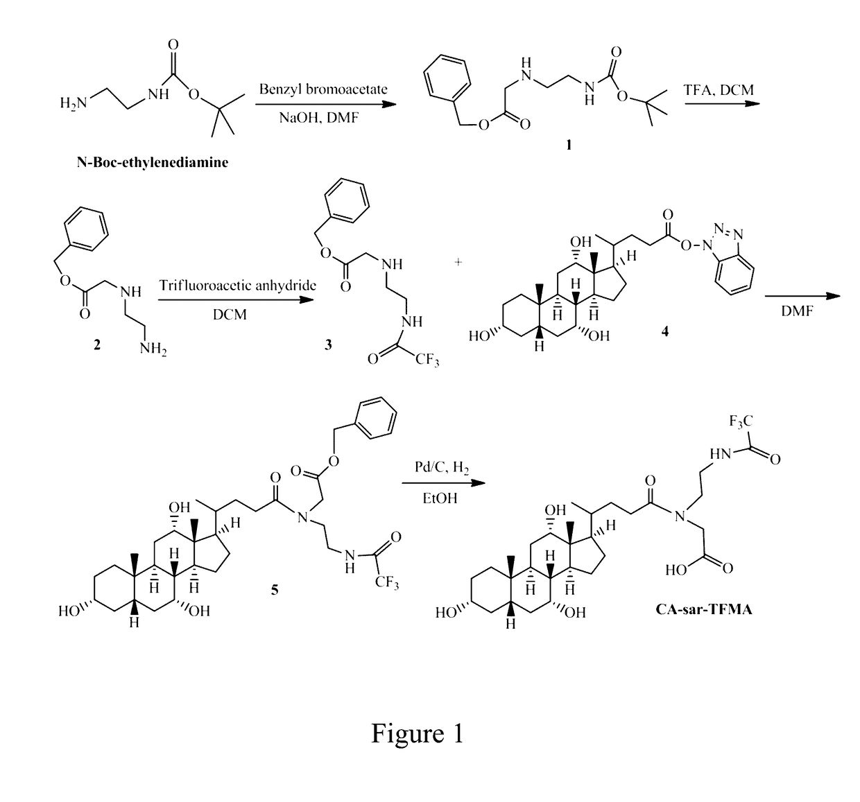 Compositions and methods to evaluate hepatobiliary/gastrointestinal health, enterohepatic circulation, and drug interactions