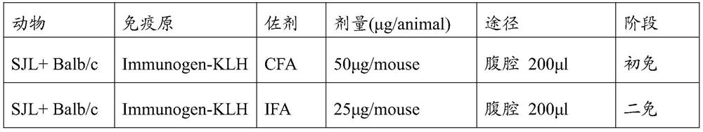 cbin1 antibody and its application