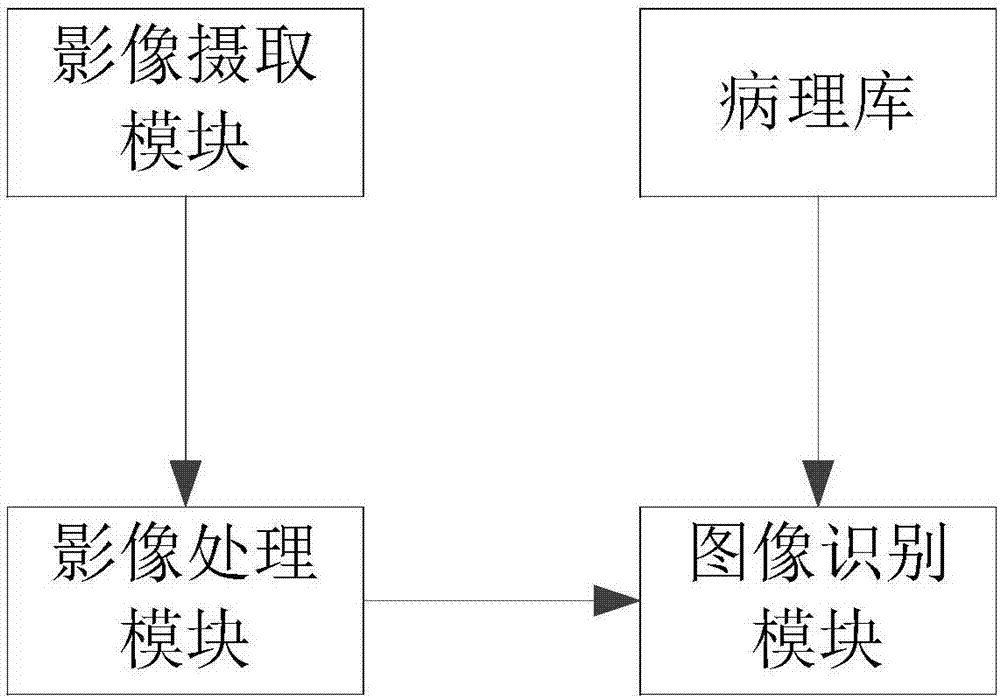 Image-based pathological analysis system and method