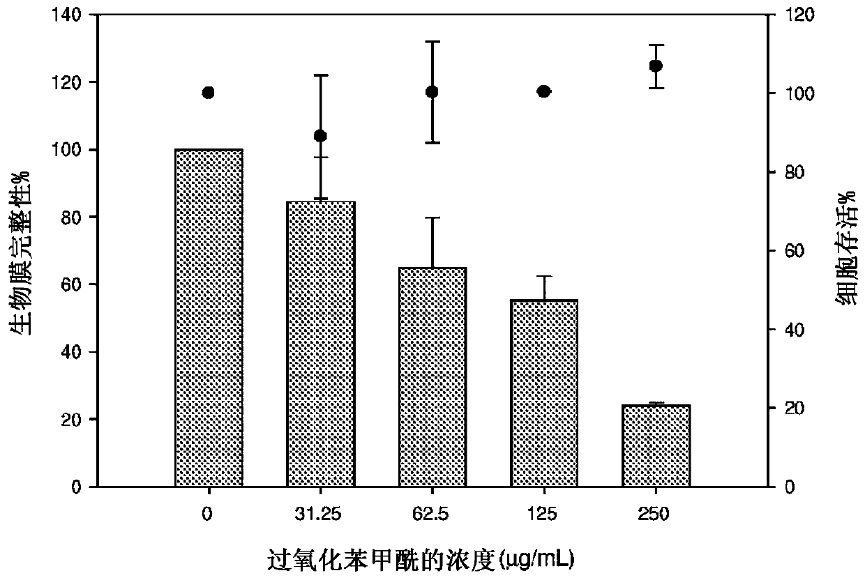 Method of treating and preventing infections