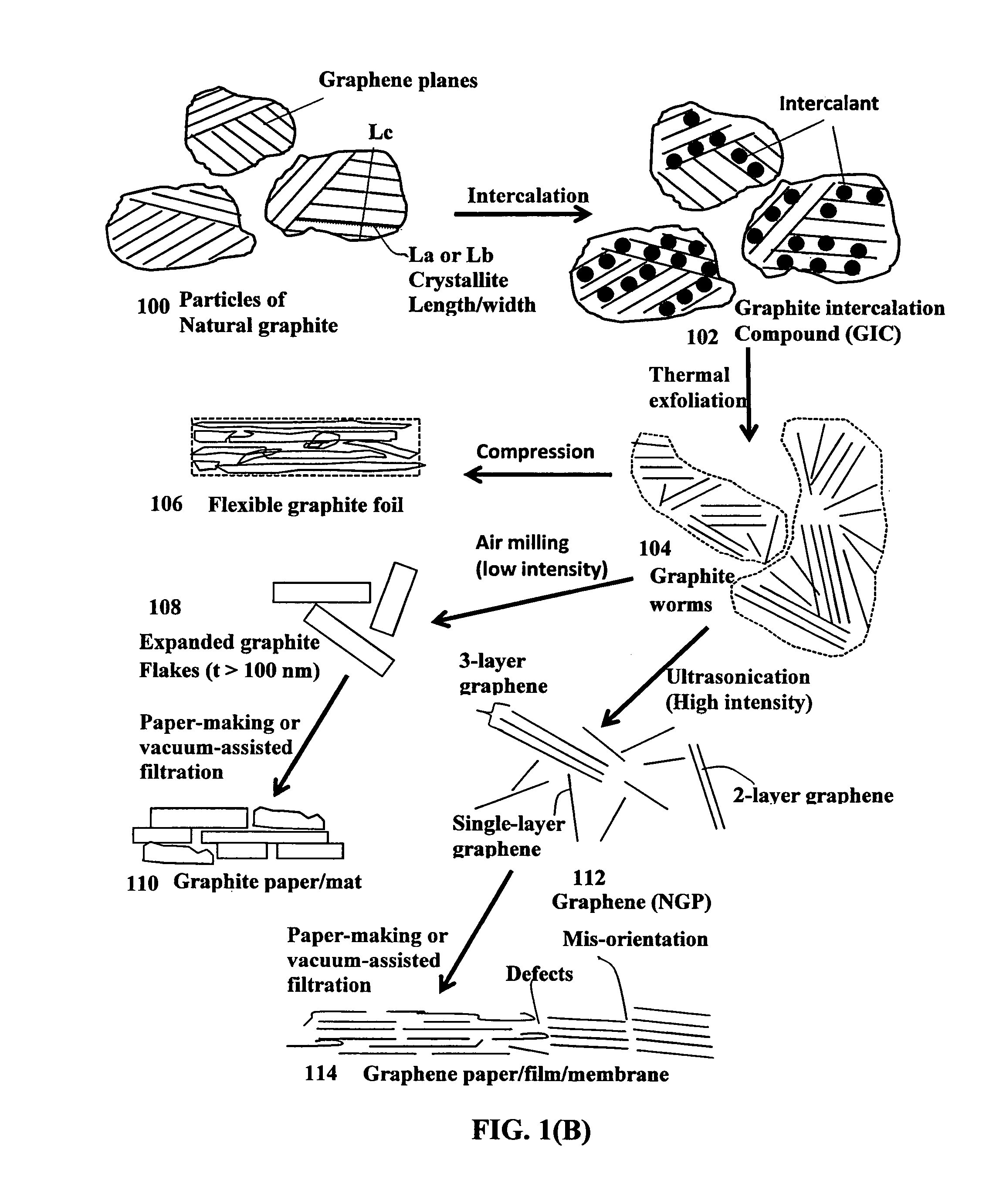 Highly oriented graphene structures and process for producing same