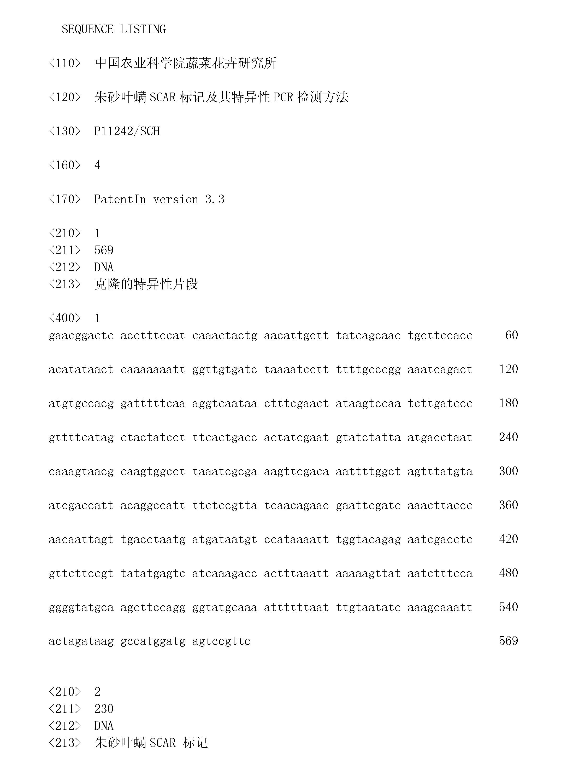 Carmine spider mite SCAR (sequence characterized amplified region) mark and specificity PCR (polymerase chain reaction) detection method thereof