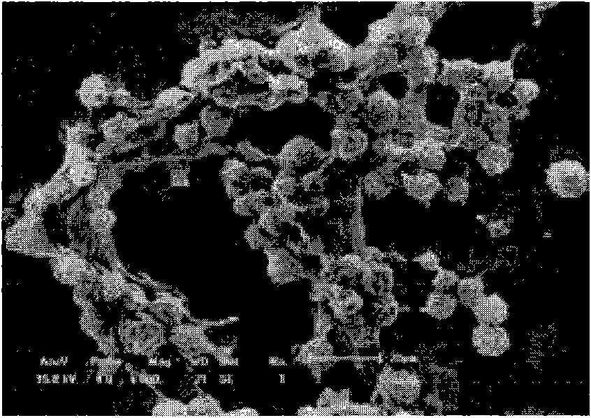 Small molecule peptide-based cholesteric organic gel molecules and preparation method thereof