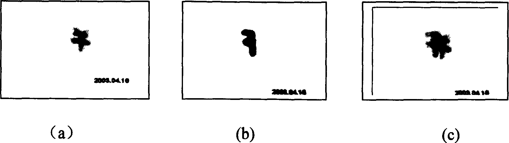 Dual wavelength sensitive photopolymer holographic recording material and preparation method thereof