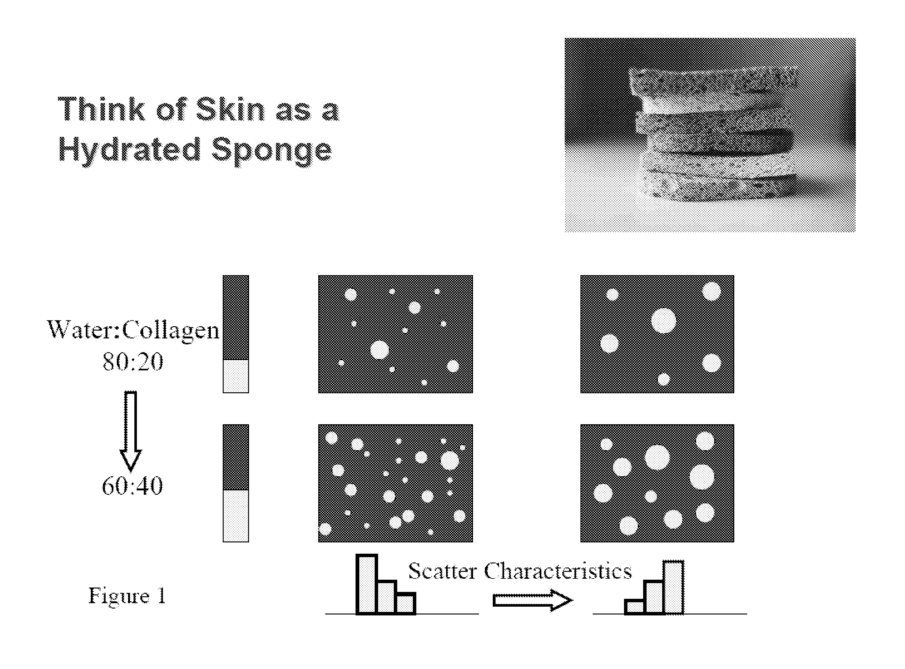 Methods and Apparatuses for Noninvasive Determinations of Analytes