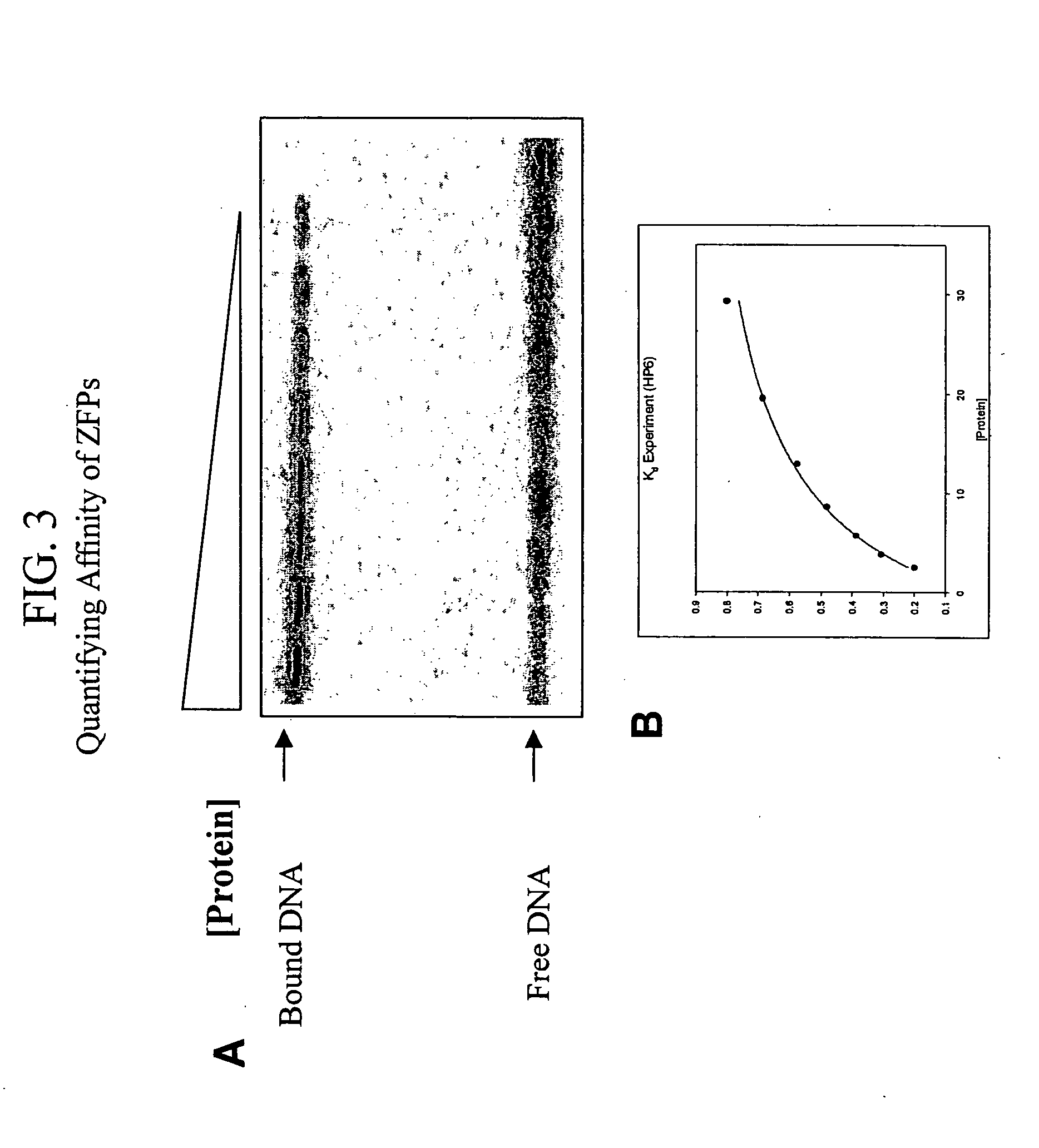 Context sensitive paralell optimization of zinc finger dna binding domains