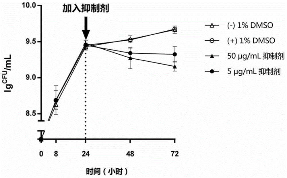 Preparation method and application of quinoxaline amide compound used as streptococcus mutans biological membrane inhibitor