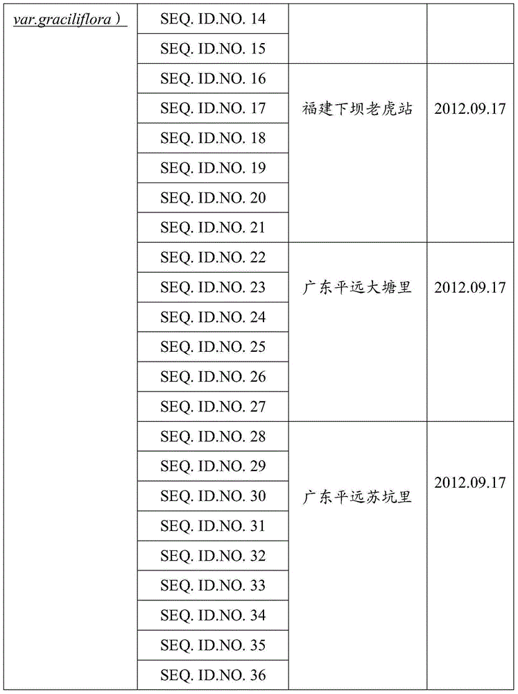 DNA barcode identification method of Isodon serra(Maxim.)Kudo and relative species