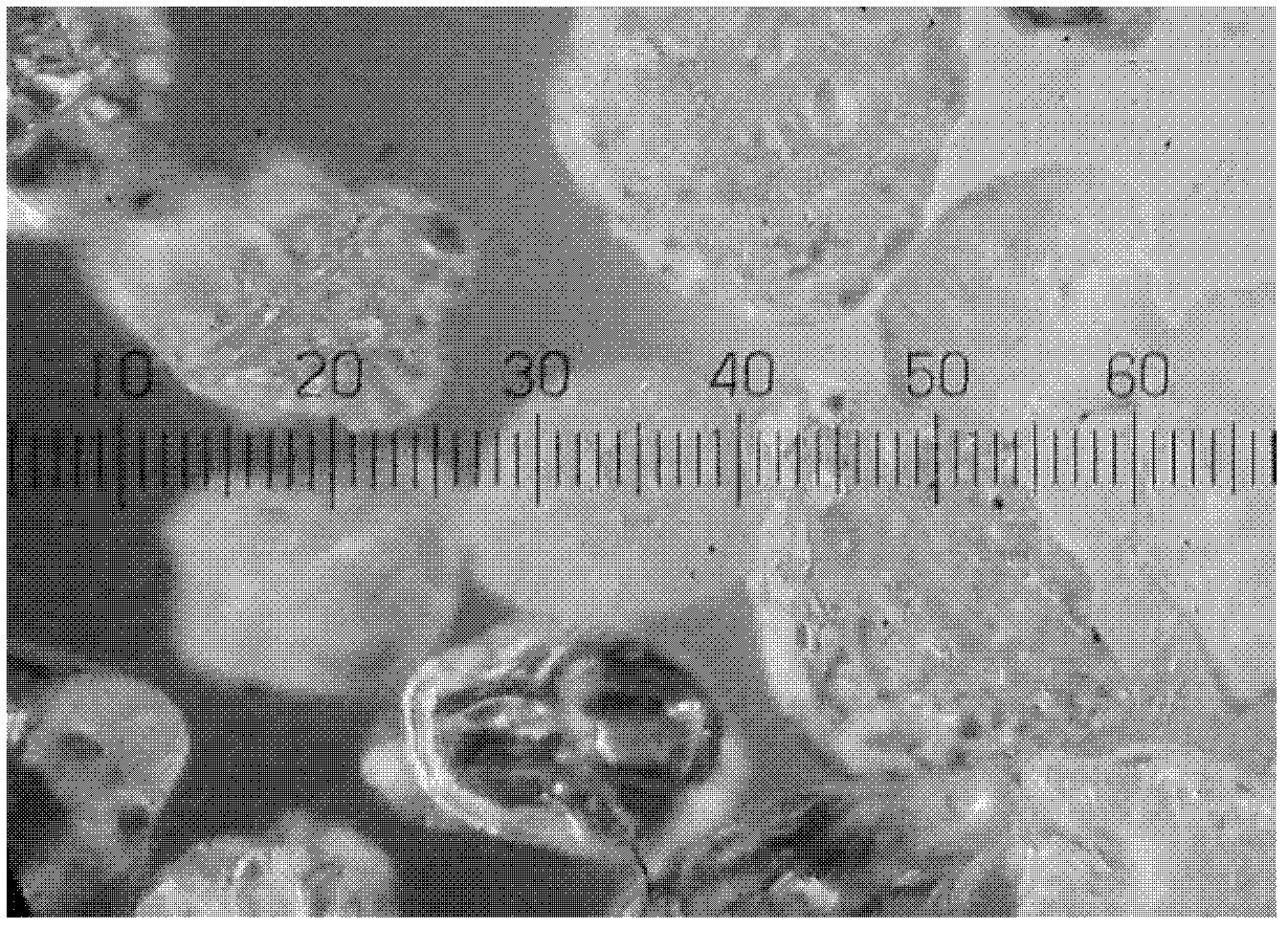 Gelatin embolism microsphere and preparation method and application thereof